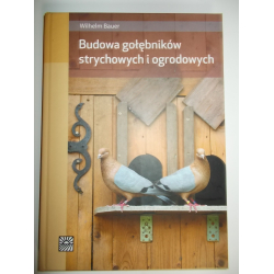 Budowa gołębników strychowych i ogrodowych